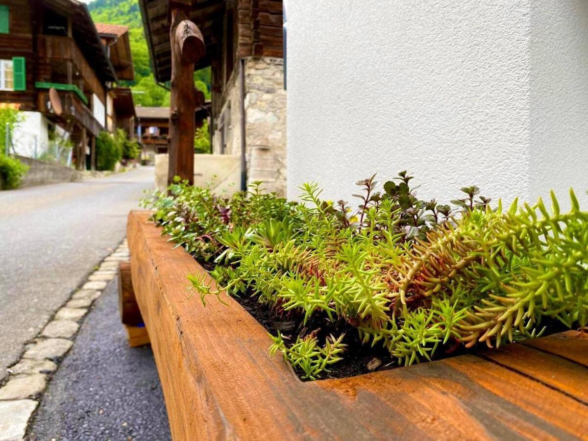 Appartement Beim Brunnen à Gsteigwiler Extérieur photo